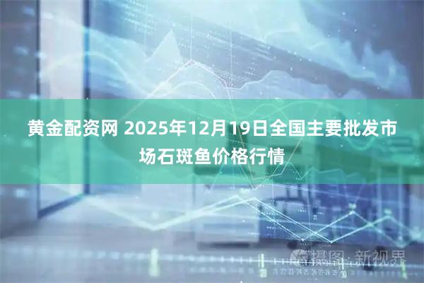 黄金配资网 2025年12月19日全国主要批发市场石斑鱼价格行情