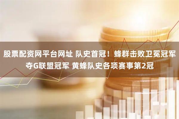 股票配资网平台网址 队史首冠！蜂群击败卫冕冠军夺G联盟冠军 黄蜂队史各项赛事第2冠